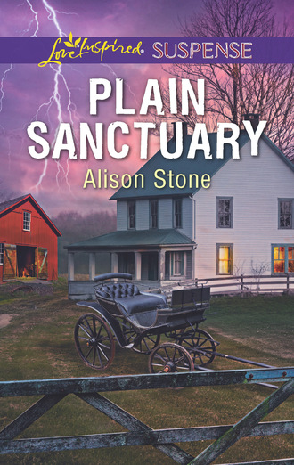 Alison  Stone. Plain Sanctuary