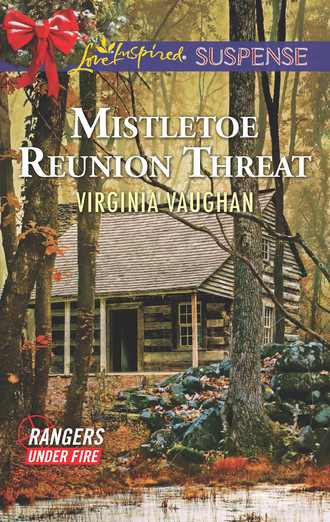 Virginia Vaughan. Mistletoe Reunion Threat