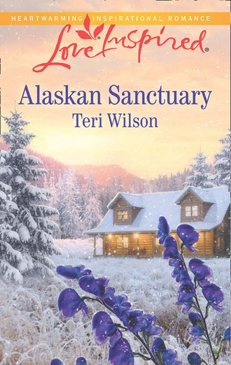 Teri Wilson. Alaskan Sanctuary