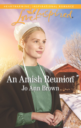 Jo Ann Brown. An Amish Reunion