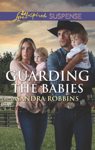 Sandra Robbins. The Baby Protectors