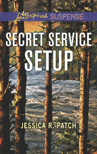 Jessica R. Patch. The Security Specialists