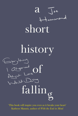 Joe Hammond. A Short History of Falling