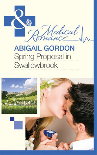 Abigail Gordon. The Doctors of Swallowbrook Farm