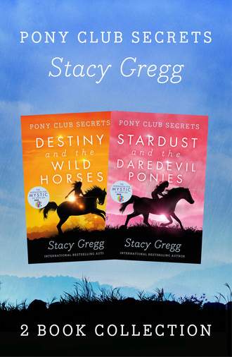 Stacy Gregg. Destiny and Stardust