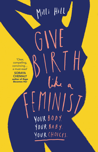 Give Birth Like a Feminist. Milli Hill
