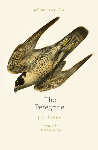 J. A. Baker. The Peregrine: 50th Anniversary Edition