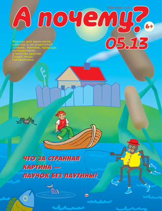 Группа авторов. А почему? №05/2013