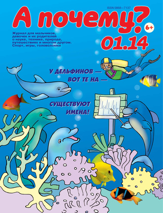 Группа авторов. А почему? №01/2014