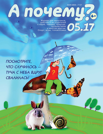Группа авторов. А почему? №05/2017