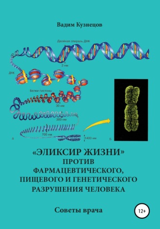 Вадим Александрович Кузнецов. «Эликсир жизни» против фармацевтического, пищевого и генетического разрушения человека. Советы врача