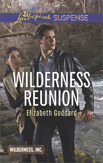 Elizabeth Goddard. Wilderness Reunion