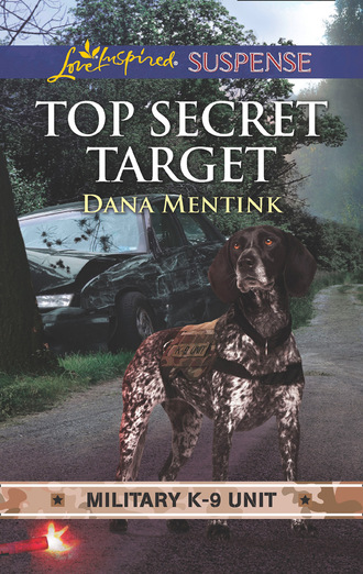 Top Secret Target. Dana Mentink