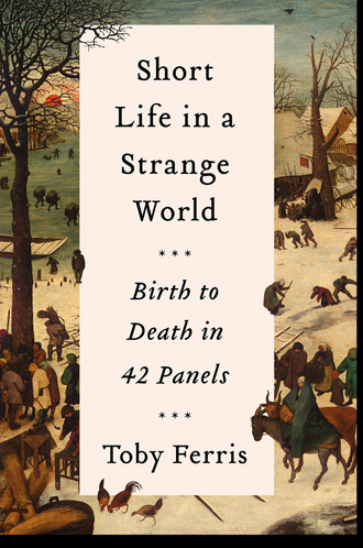 Toby Ferris. Short Life in a Strange World