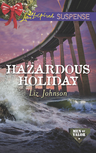 Liz  Johnson. Hazardous Holiday