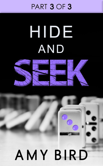 Amy Bird. Hide And Seek (Part 3)