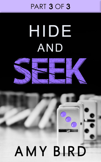 Hide And Seek (Part 3). 