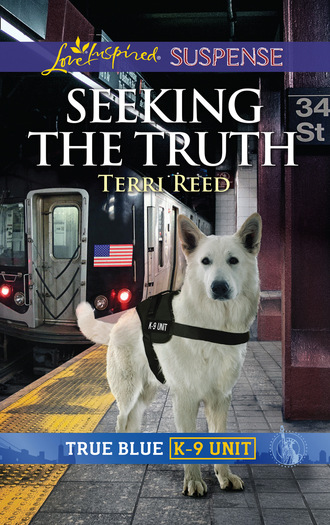 Terri Reed. Seeking The Truth