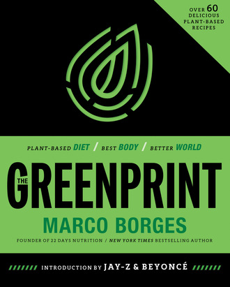 Marco Borges. The Greenprint