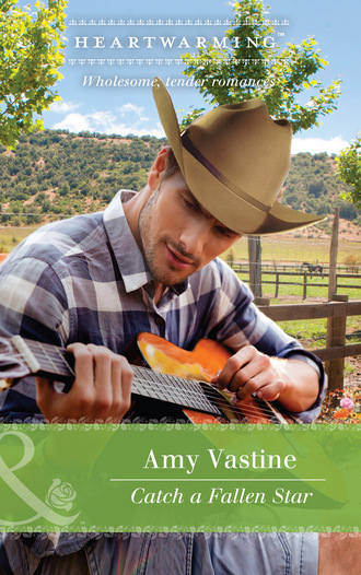 Amy Vastine. Catch A Fallen Star