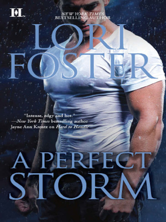 Lori Foster. A Perfect Storm