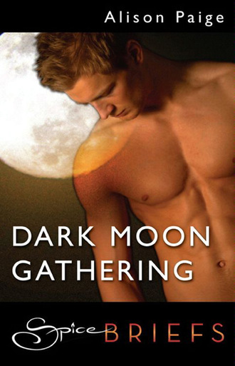 Alison Paige. Dark Moon Gathering