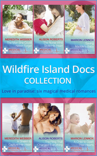 Alison Roberts. Wildfire Island Docs