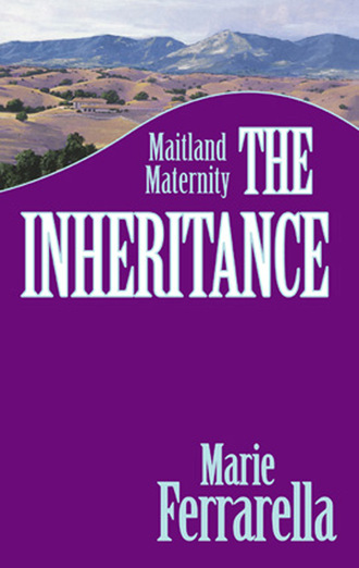 Marie Ferrarella. The Inheritance