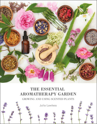 Julia Lawless. The Essential Aromatherapy Garden