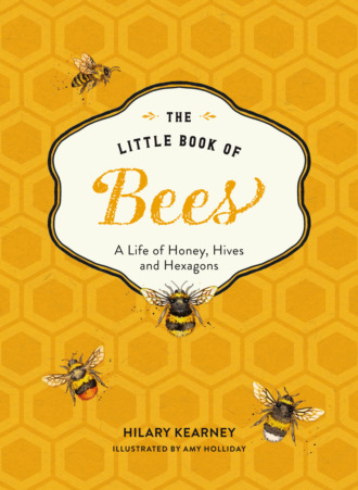 Hilary Kearney. The Little Book of Bees
