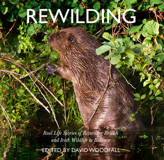 David Woodfall. Rewilding