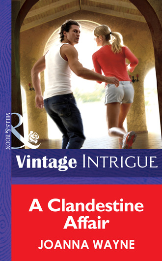 Joanna Wayne. A Clandestine Affair