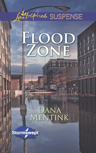 Dana Mentink. Flood Zone