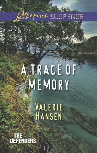 Valerie  Hansen. A Trace Of Memory