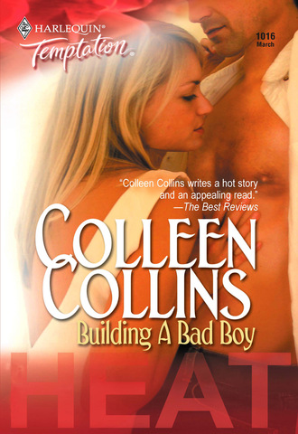 Colleen Collins. Building a Bad Boy