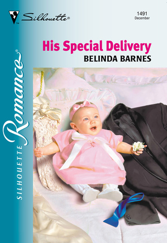 Belinda Barnes. His Special Delivery