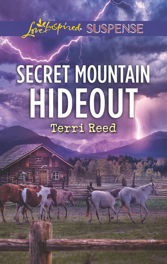 Terri Reed. Secret Mountain Hideout