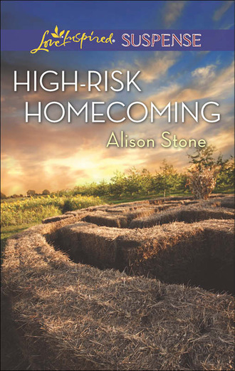 Alison  Stone. High-Risk Homecoming