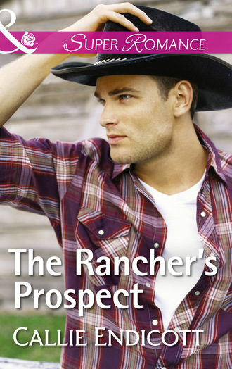 Callie Endicott. The Rancher's Prospect
