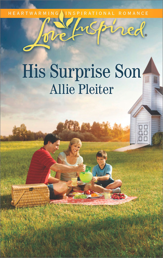 Allie Pleiter. His Surprise Son
