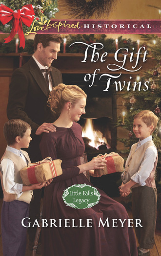 Gabrielle Meyer. The Gift Of Twins
