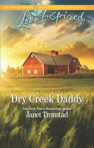Janet Tronstad. Dry Creek Daddy