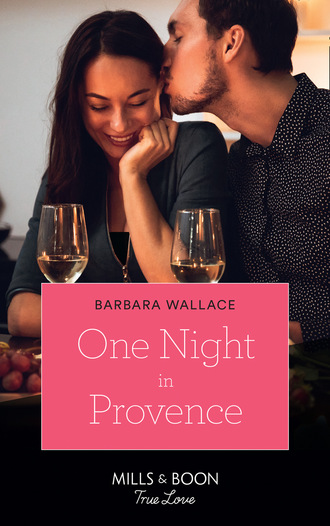 Barbara Wallace. One Night In Provence