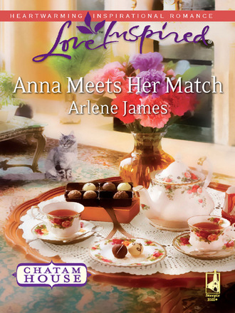 Arlene James. Anna Meets Her Match
