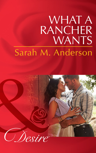Sarah M. Anderson. What A Rancher Wants