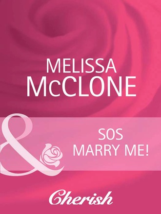 Melissa Mcclone. The Wedding Planners