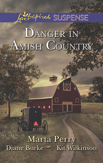 Marta  Perry. Danger In Amish Country