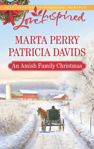 Marta  Perry. An Amish Family Christmas