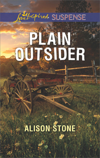 Alison  Stone. Plain Outsider