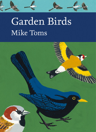 Mike Toms. Garden Birds